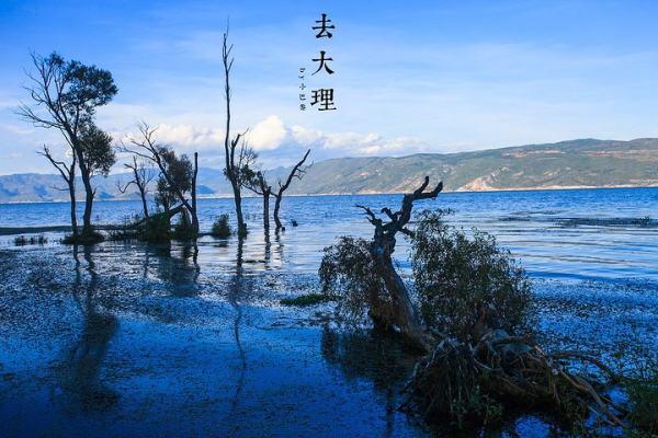 大理旅游景点线路-新闻消息