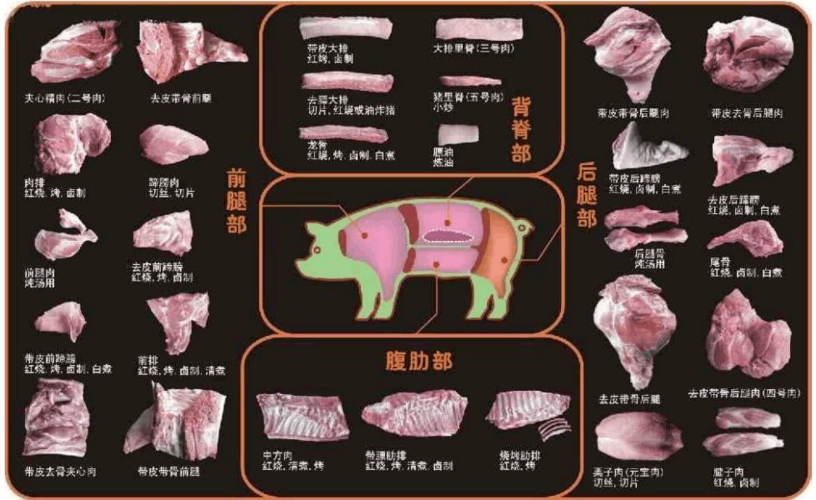 猪肉分割参考图