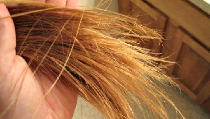 头发干枯毛躁怎么救选对产品很重要