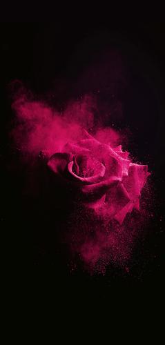 1080_2260 竖版 竖屏