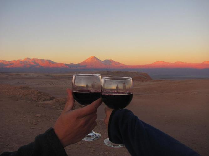 chilean wine – from chardonnay to cabernet