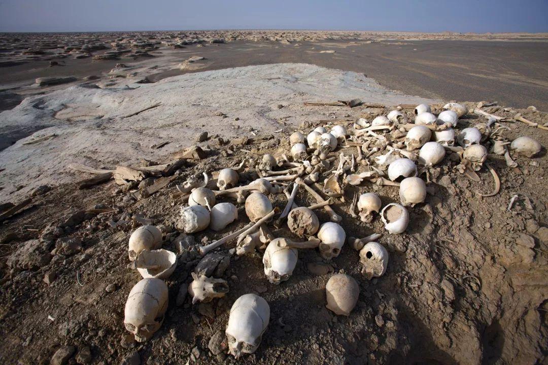 问政人文楼兰生死5000年之谜罗布泊究竟发生过什么