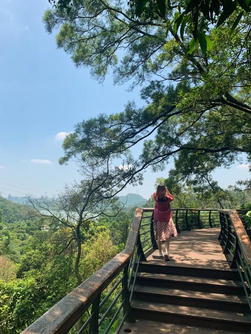 深圳徒步爬山好去处_梧桐山风景名胜区_爬山_梧桐山_徒步_莲花山公园