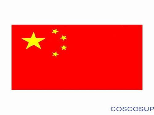 中国国旗图片ppt_word文档在线阅读与下载_无忧文档