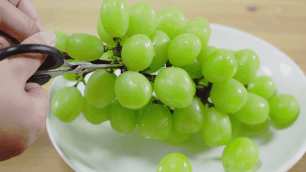 什么葡萄一串要600元?