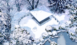 冬游日本,享受非一般的雪国秘境~日本本州踏雪迎春の