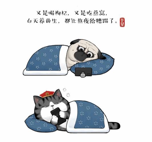 西西弗书店吾皇巴扎黑创作者白茶分享新书趣闻