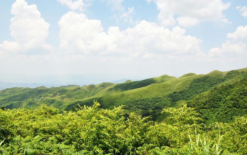 其它 山盆仙人山 写美篇  仙人山位于贵州省遵义市汇川区山盆镇高雄村