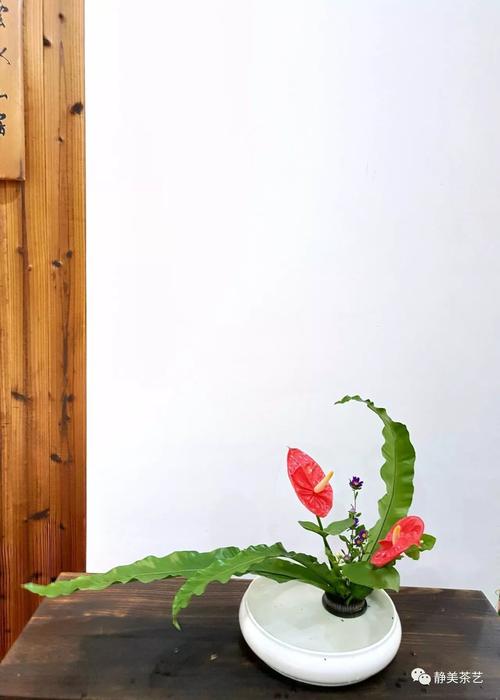 静美如何插作茶席插花