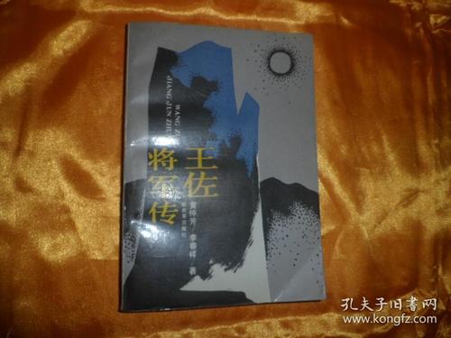 王佐将军传