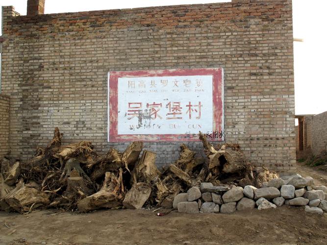 山西阳高县罗文皂公社吴家堡村北京女知青返乡探望村中乡亲,重回故土