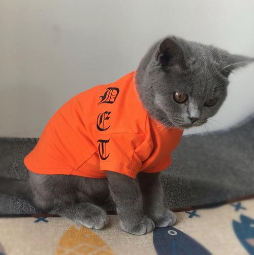 独家手工亲子装宠物猫咪衣服幼犬泰迪纯棉猫衣服夏装薄款狗衣服