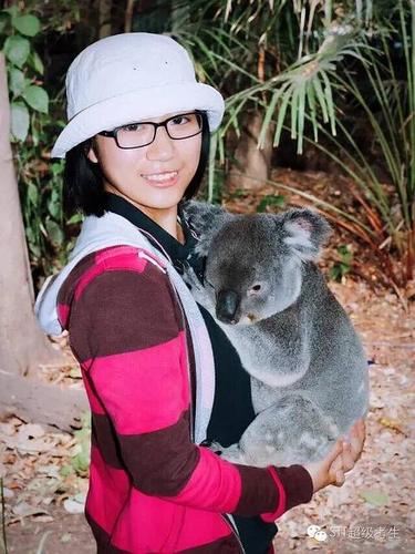 树袋熊动物园(lone pine koala sanctuary),拥抱一下可爱的小考拉们