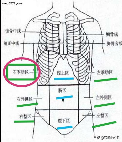右上腹疼痛是什么原因?如何应对?