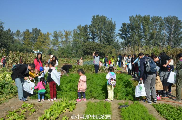 小毛驴市民农园的社会影响