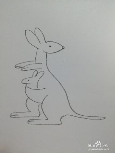 袋鼠的简笔画怎么怎么画袋鼠简笔画-百度经验
