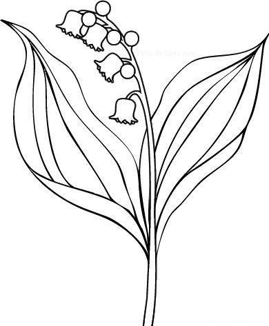 简笔画初中生花 (第1页)