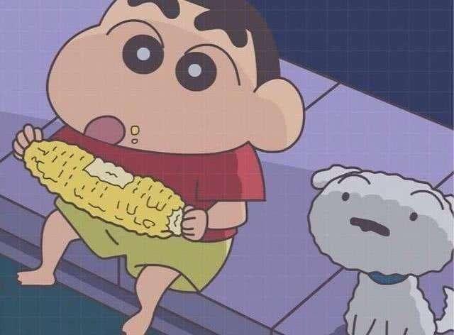 蜡笔小新   大象,大象,你的鼻子为什么那么长?   11,猫和老鼠
