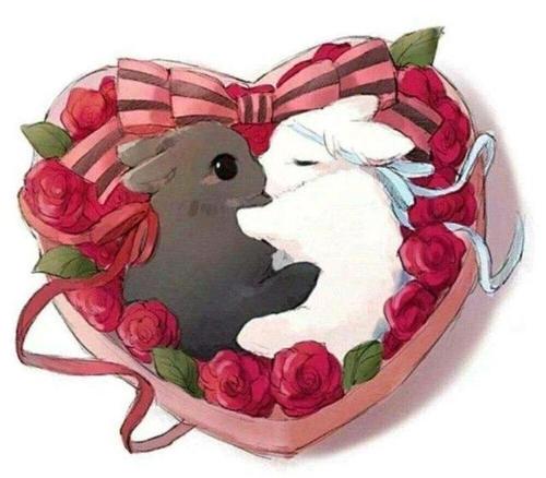 魔道祖师:忘羡甜蜜蜜,魏无羡送兔子定情