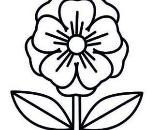 花妈妈的简笔画