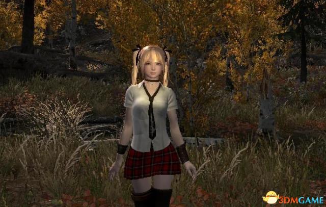 上古卷轴5:天际重置版 玛丽罗斯mod