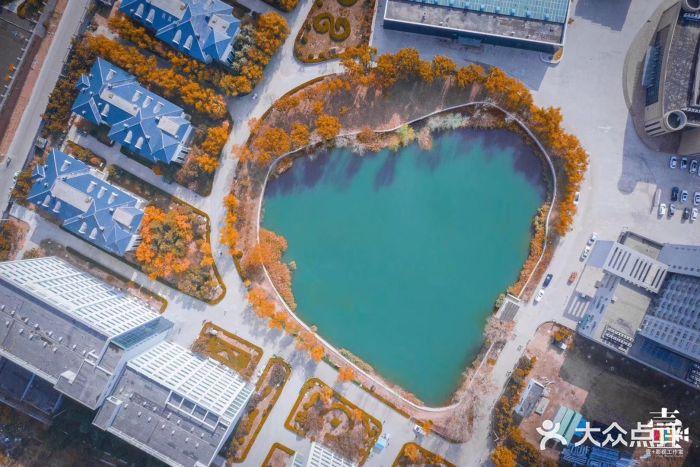 青岛理工大学琴岛学院图片