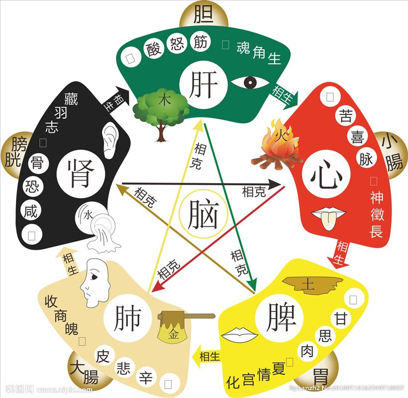 五行相生相克图片