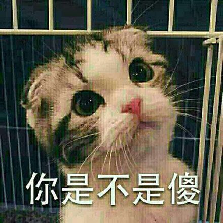 脑子瓦特了是什么意思