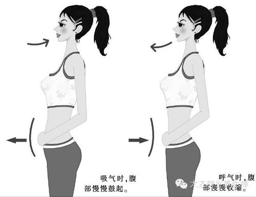 丹田呼吸法(广德养生辟谷训练营推荐)