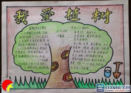 中国植树节手抄报