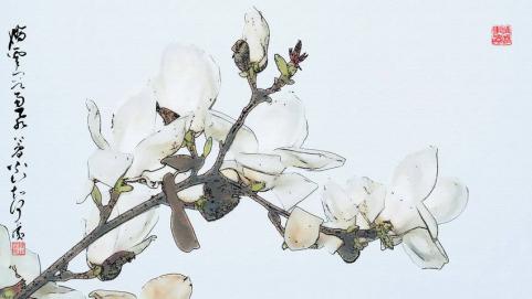 三月明明桃花季,粉漾少女心的却是木兰花