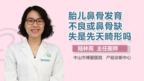 胎儿鼻骨可见怎么回事