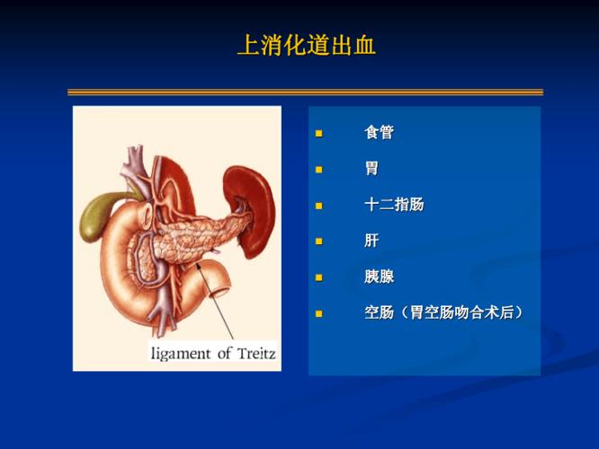 上消化道出血-鲁智豪.pdf 33页