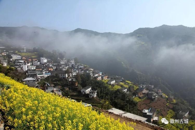 他们高瞻远瞩,谋划发展,充分利用蜈蚣岭村优美的生态环境,勾画出了一