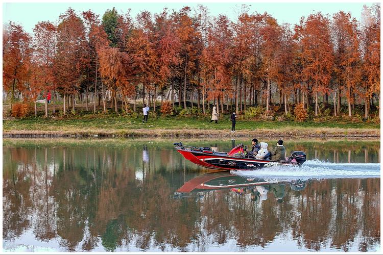 三垟湿地公园西大门 自编自导有一套.