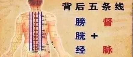 足太阳膀胱经,是十二经脉第七经,它的基本走向是"从头走足",在体内