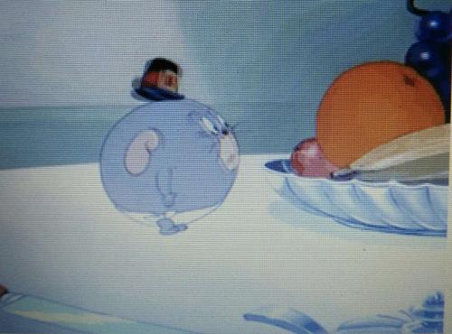 关于《猫和2113老鼠5261》的简介: 《猫和老鼠》(   tom and jerry)是