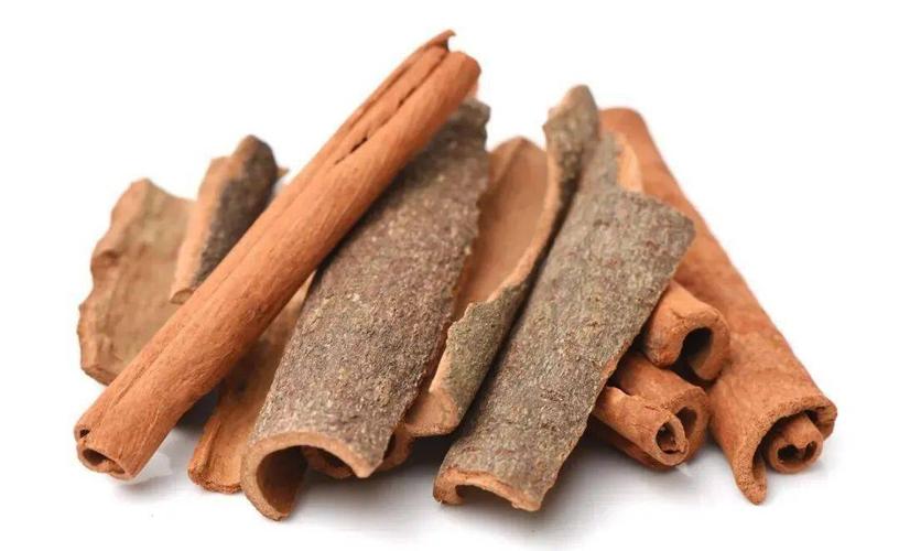肉桂辛温甘热,如用之岂不是火上加油?"