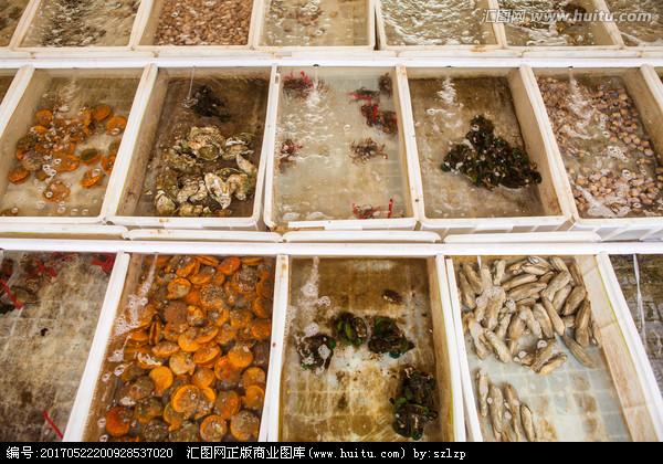 [正版商业] 水产水箱 海鲜河鲜