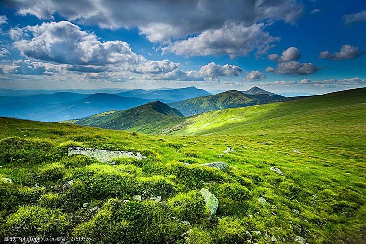 高原草地风景