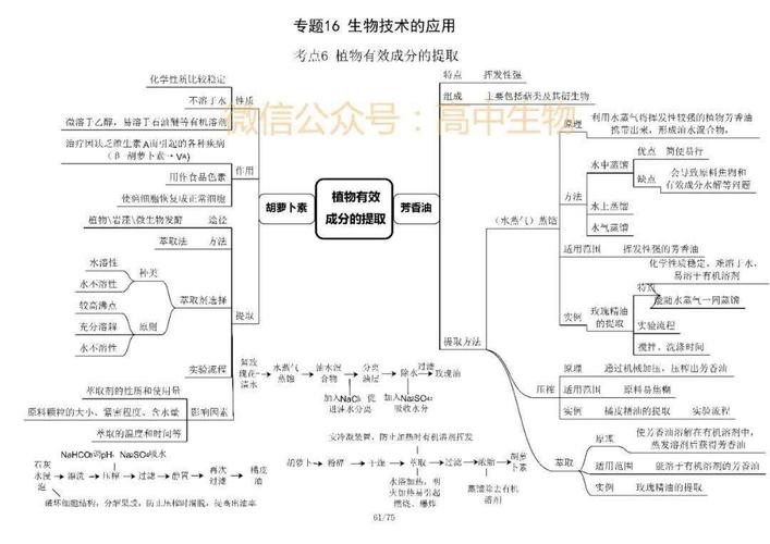 【学霸脑图】高考生物选修一,选修三知识框架汇总!附电子版