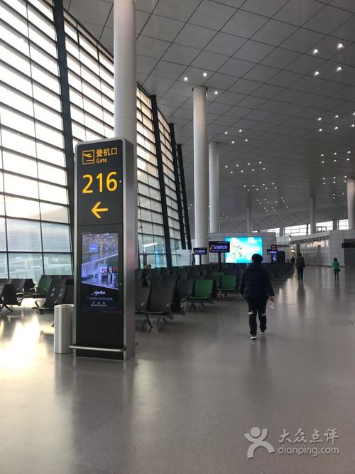 新郑机场t2航站楼图片 - 第279张