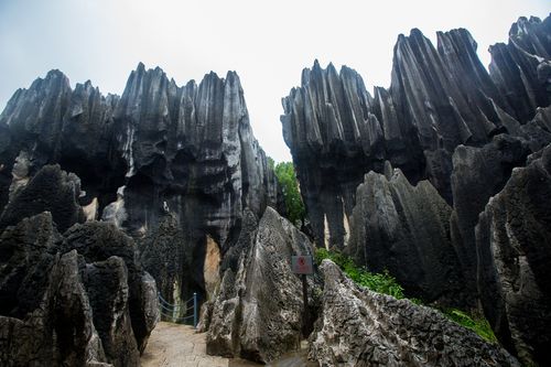 target="_blank" href="/item/云南省">云南省 /a>昆明市石林彝族自治