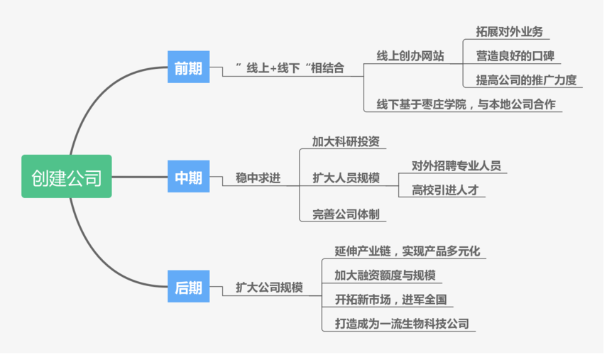 公司未来发展规划图