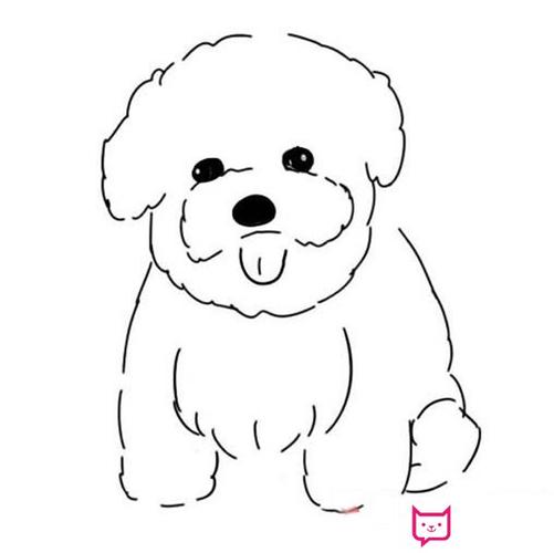 可爱的小狗简笔画,比熊犬简笔画