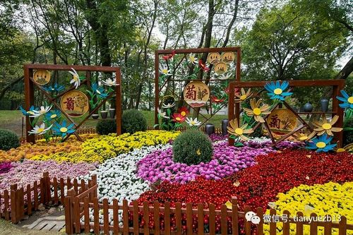 第十届北京菊花文化节