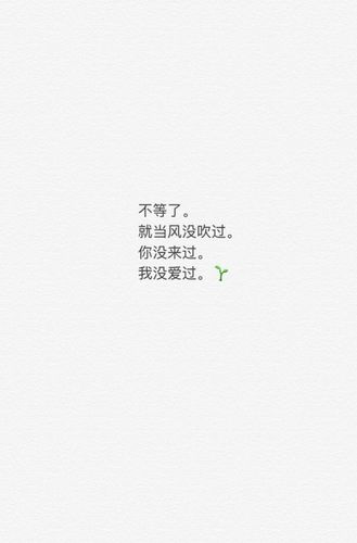 不等了,就当风没吹过,你没来过,我没爱过.
