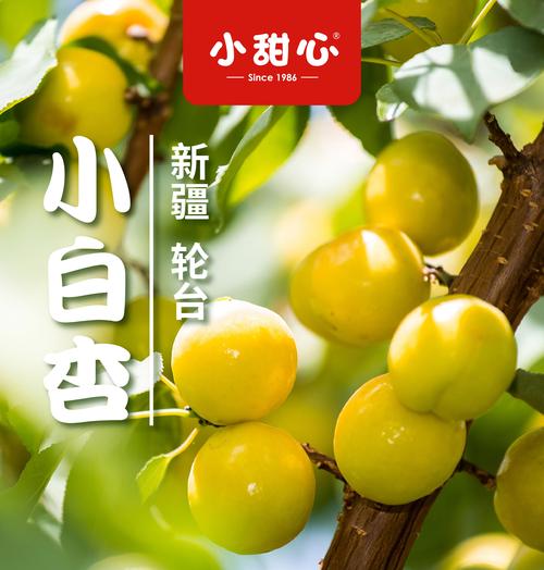 新疆小白杏新鲜白杏轮台库车新鲜水果3斤顺丰