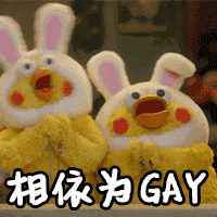 鹦鹉兄弟gif相依为gaygif摇头gif