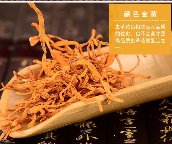 聚源生物 蛹虫草茶 厂家直销批发